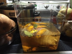 Thanksgiving Dinner