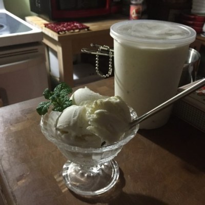 Homemade Vanilla Bean Ice Cream