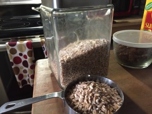 Farro With Grapes, Pineapple, And Raspberry-Glazed Almonds