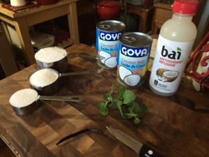 Coconut Vanilla Sorbet