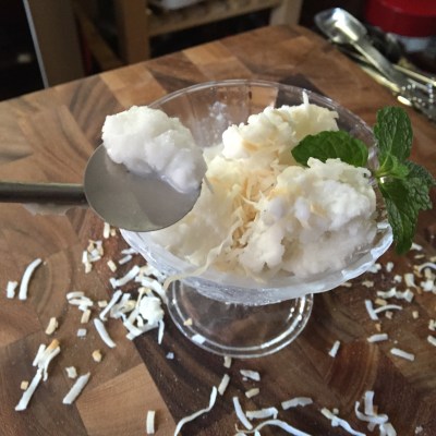 Coconut Vanilla Sorbet