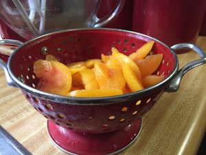 Blueberries and Peaches with Sweet Ricotta