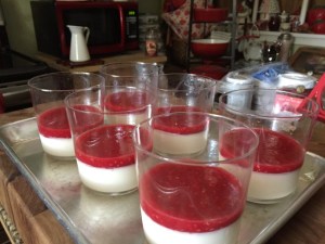 Panna Cotta with Raspberry Sauce