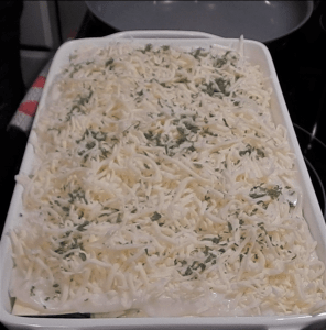 Wild Mushroom and Spinach Lasagna 