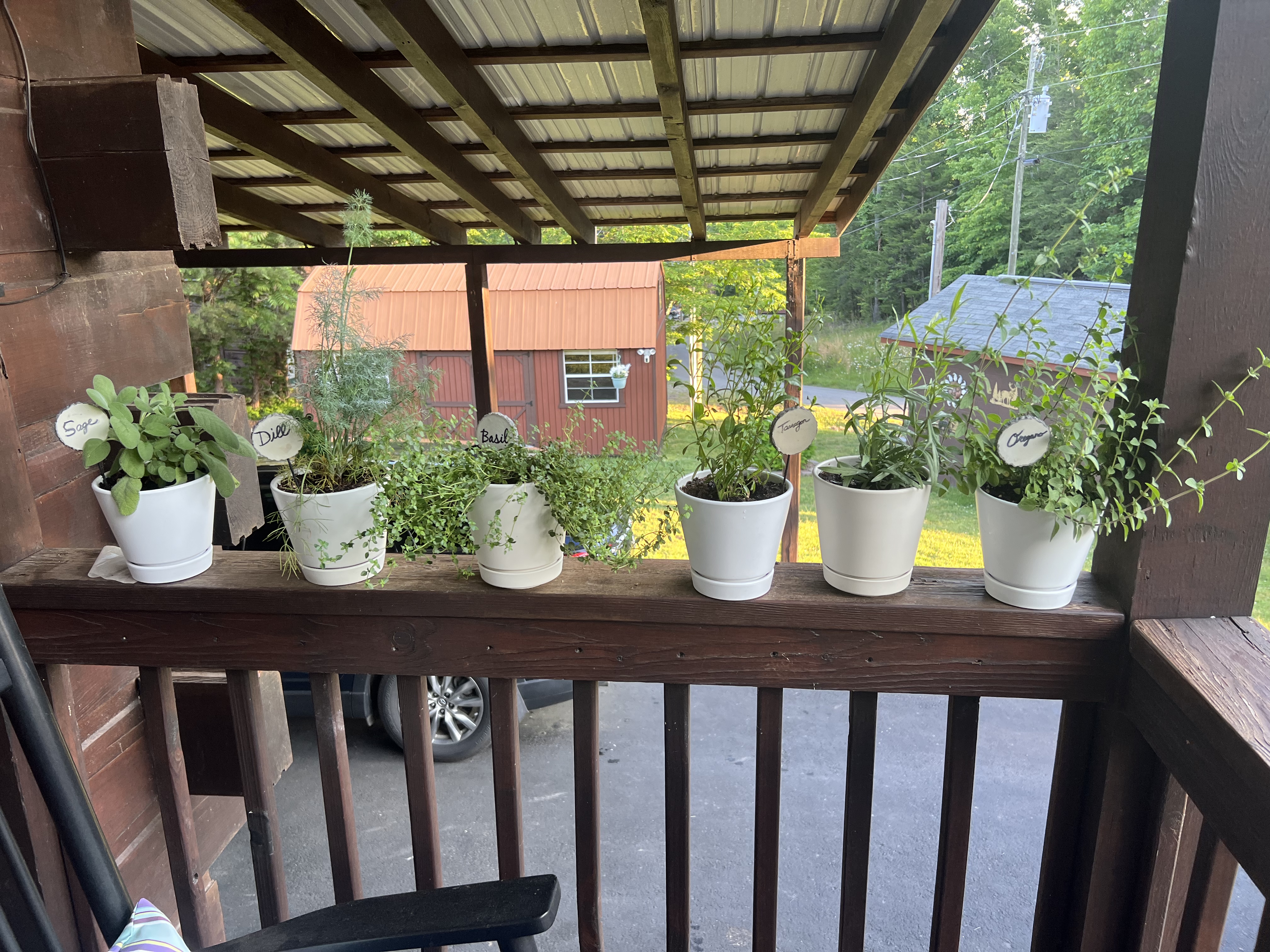 My New Organic Herb Garden