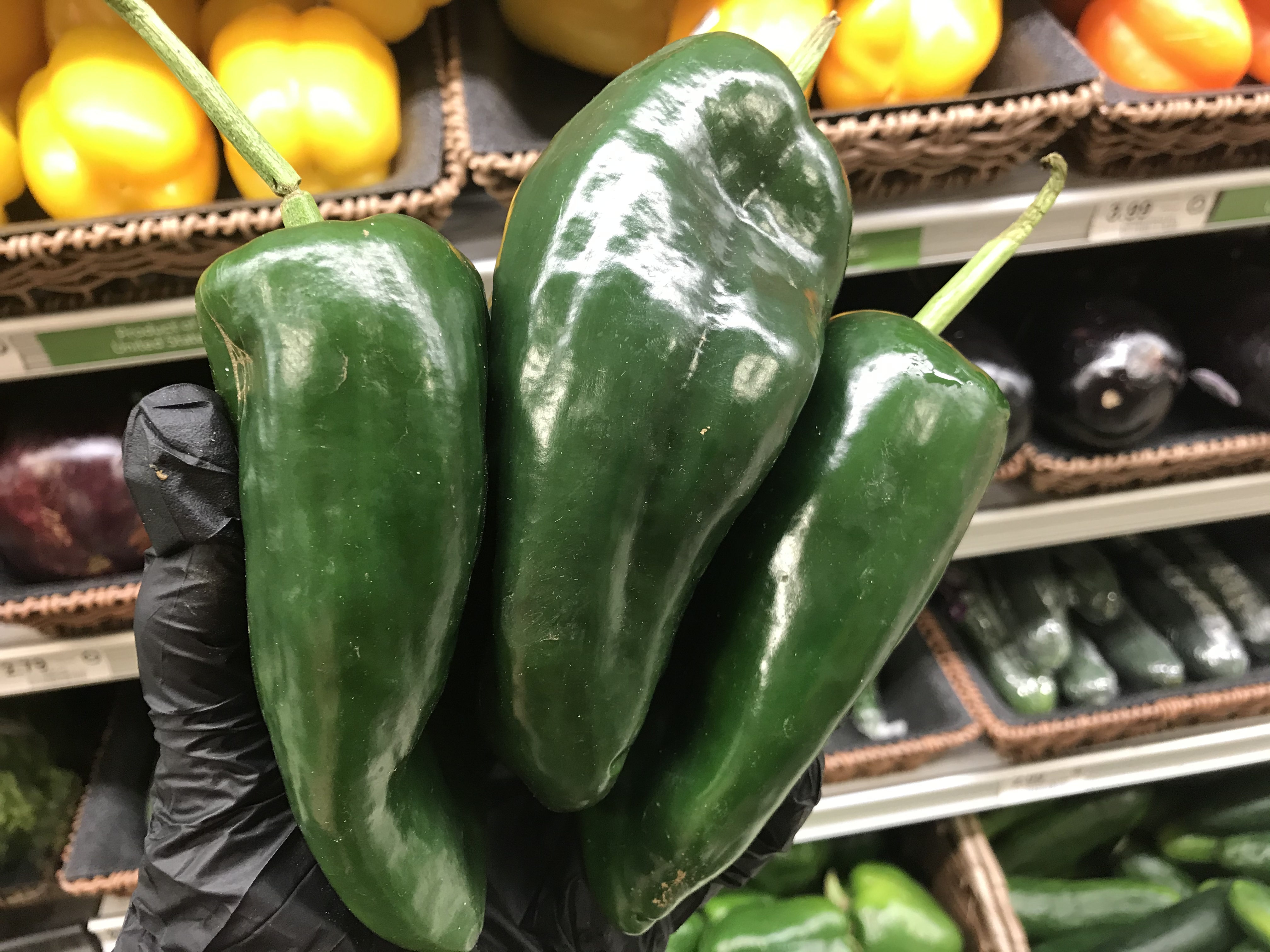 Poblano Peppers