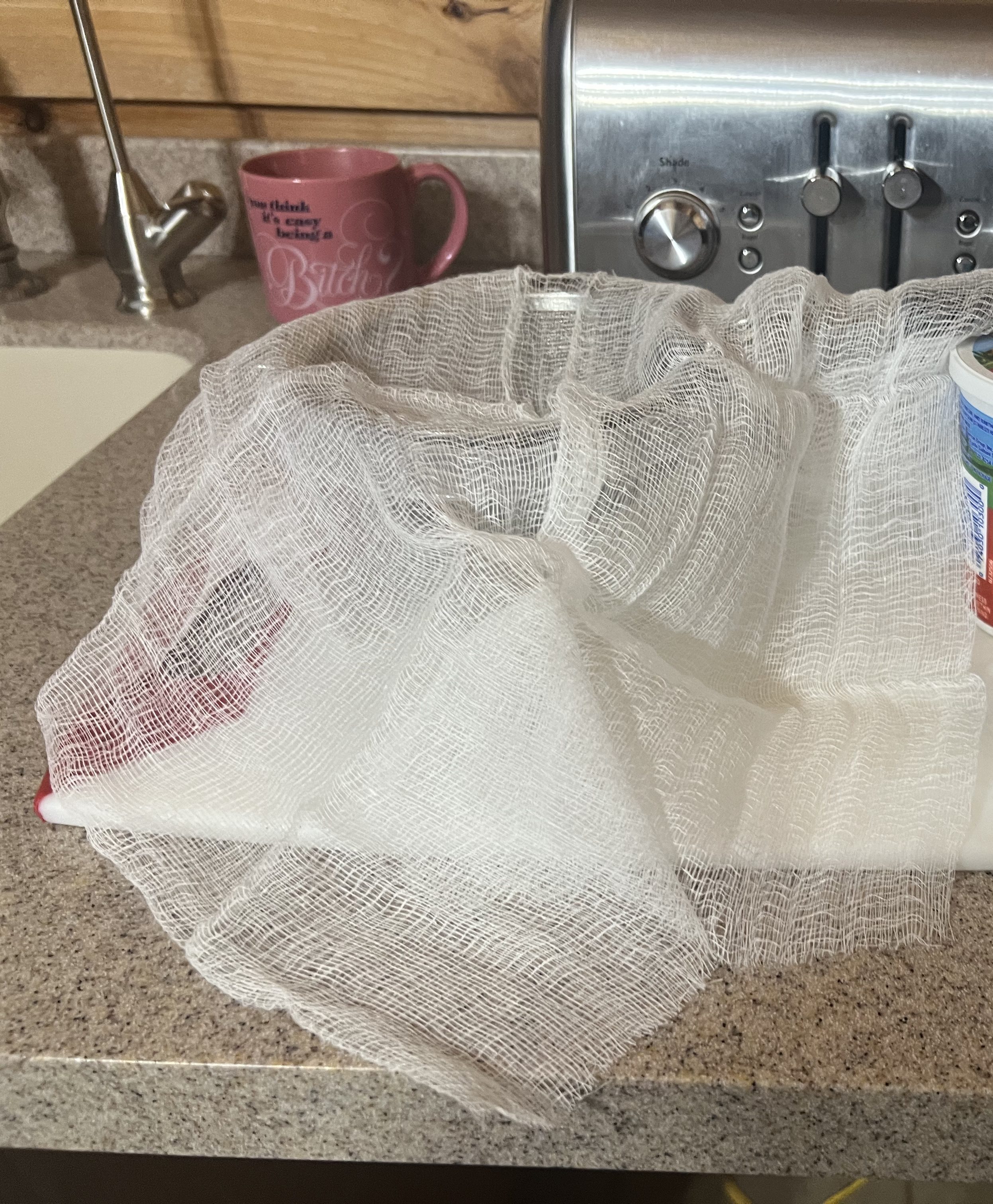 Sieve Lined With Cheesecloth