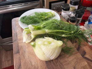 Fennel