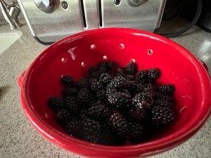 Blackberries