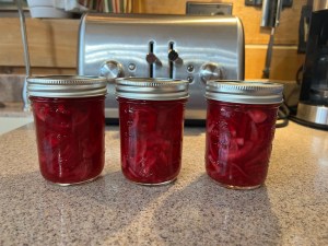 Pickled Red Onions