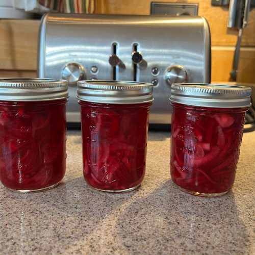 Pickled Red Onions