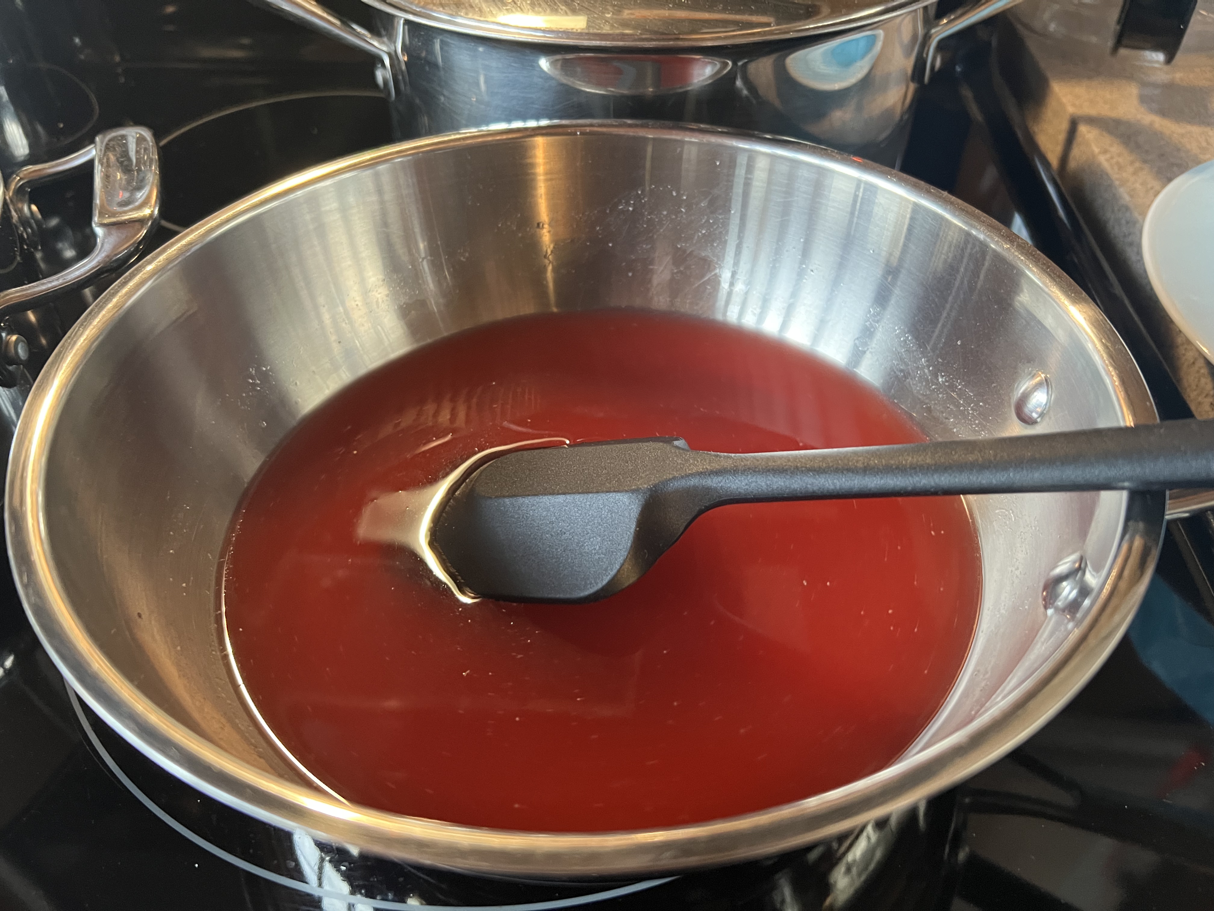 Pickled Red Onions