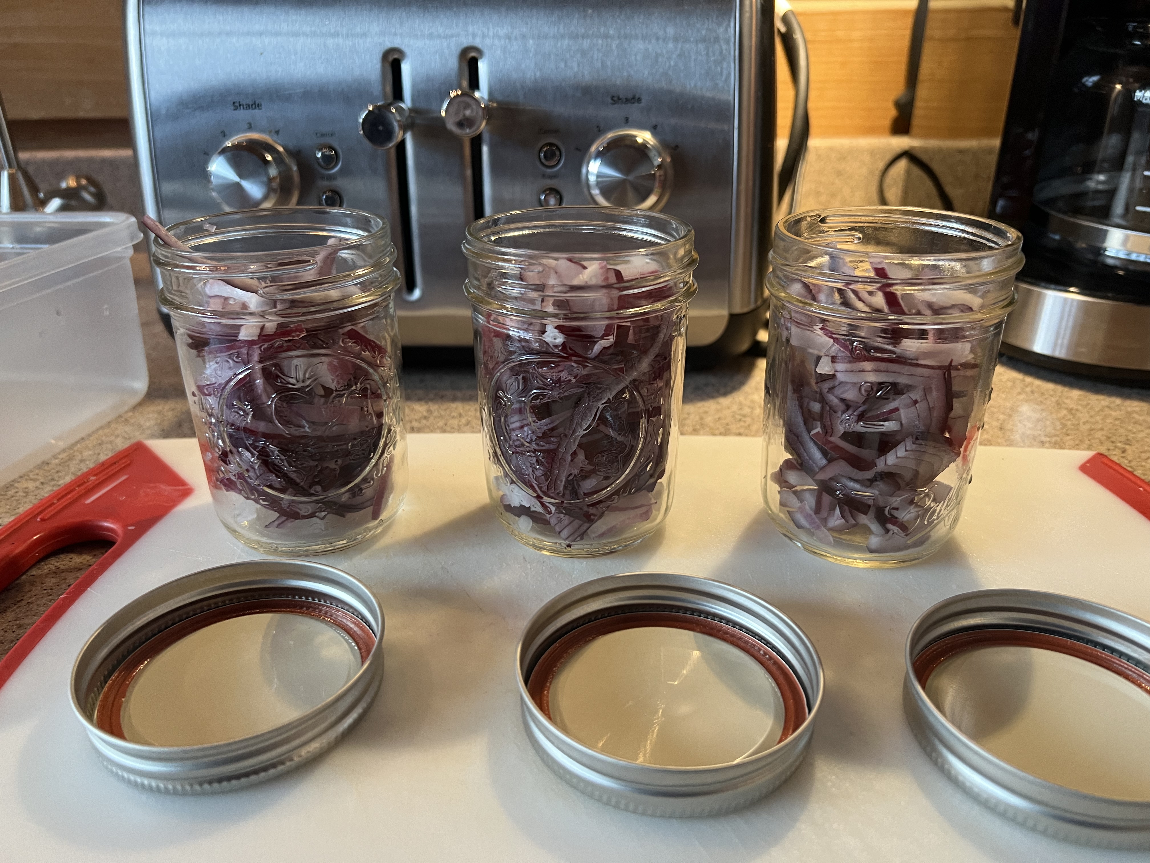 Pickled Red Onions 