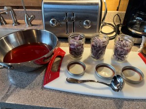 Pickled Red Onions