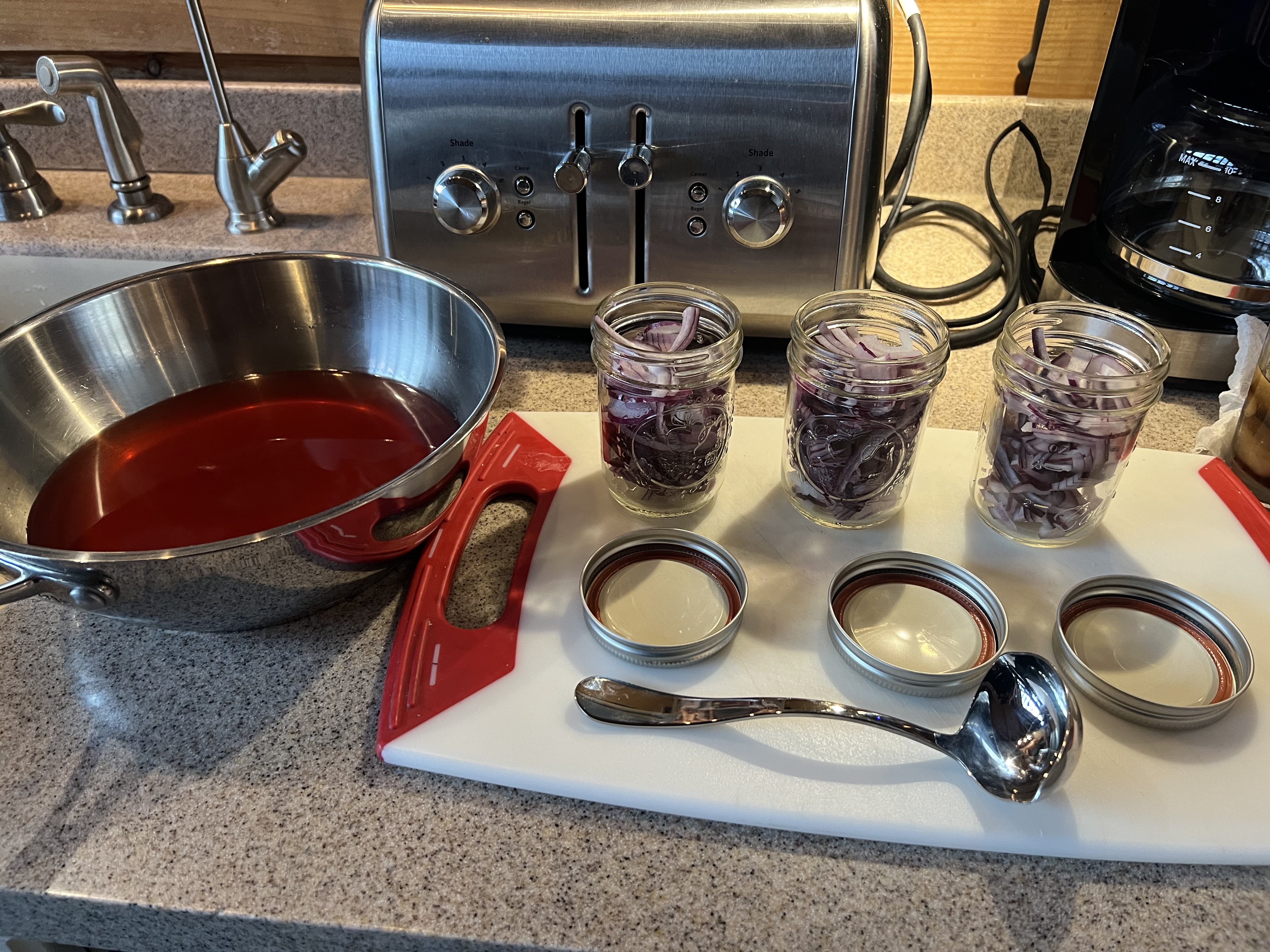 Pickled Red Onions