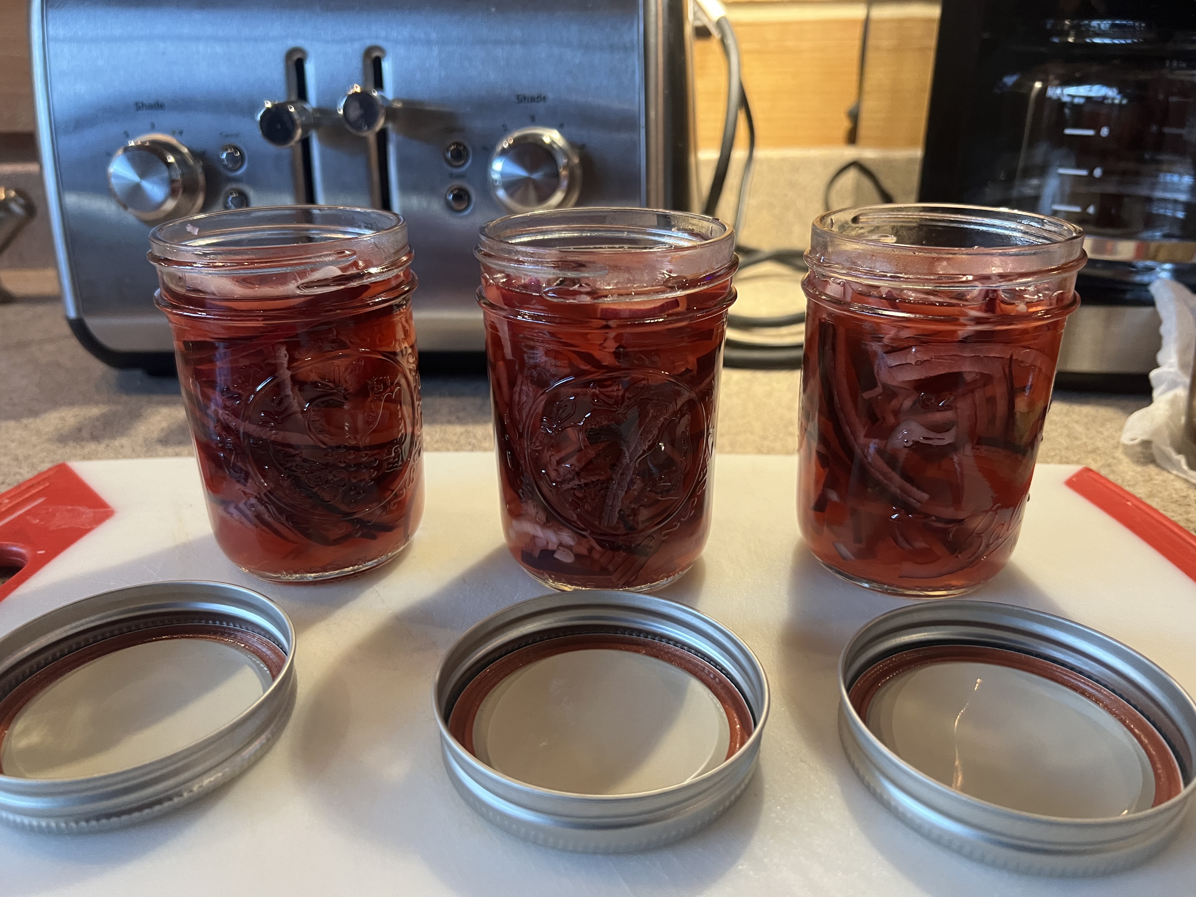 Pickled Red Onions