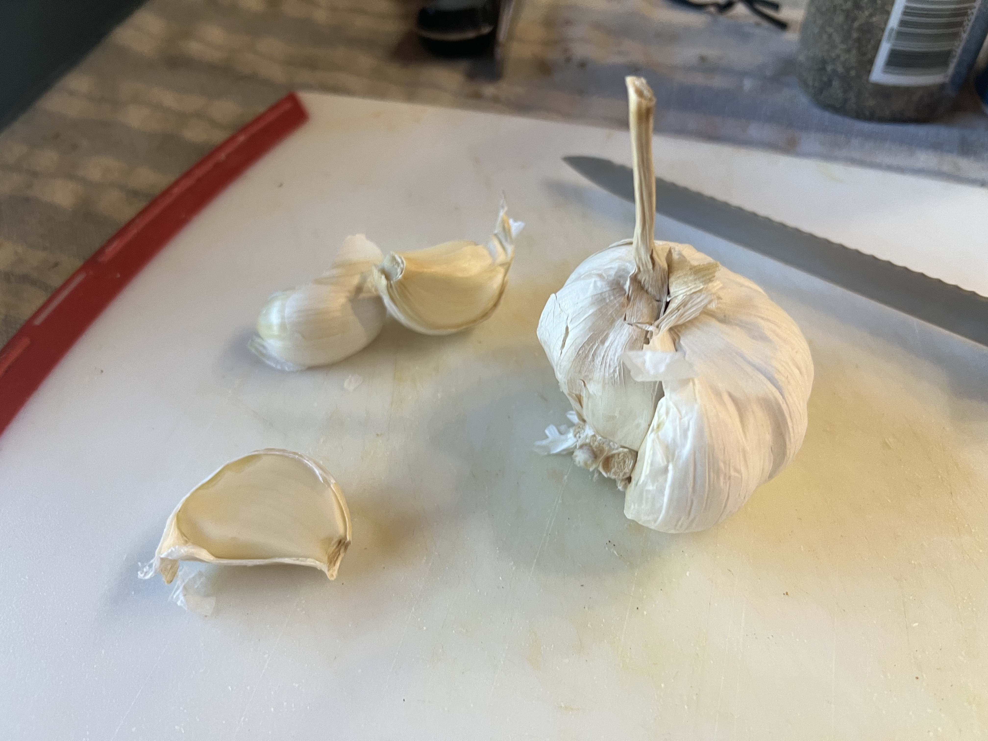 Garlic