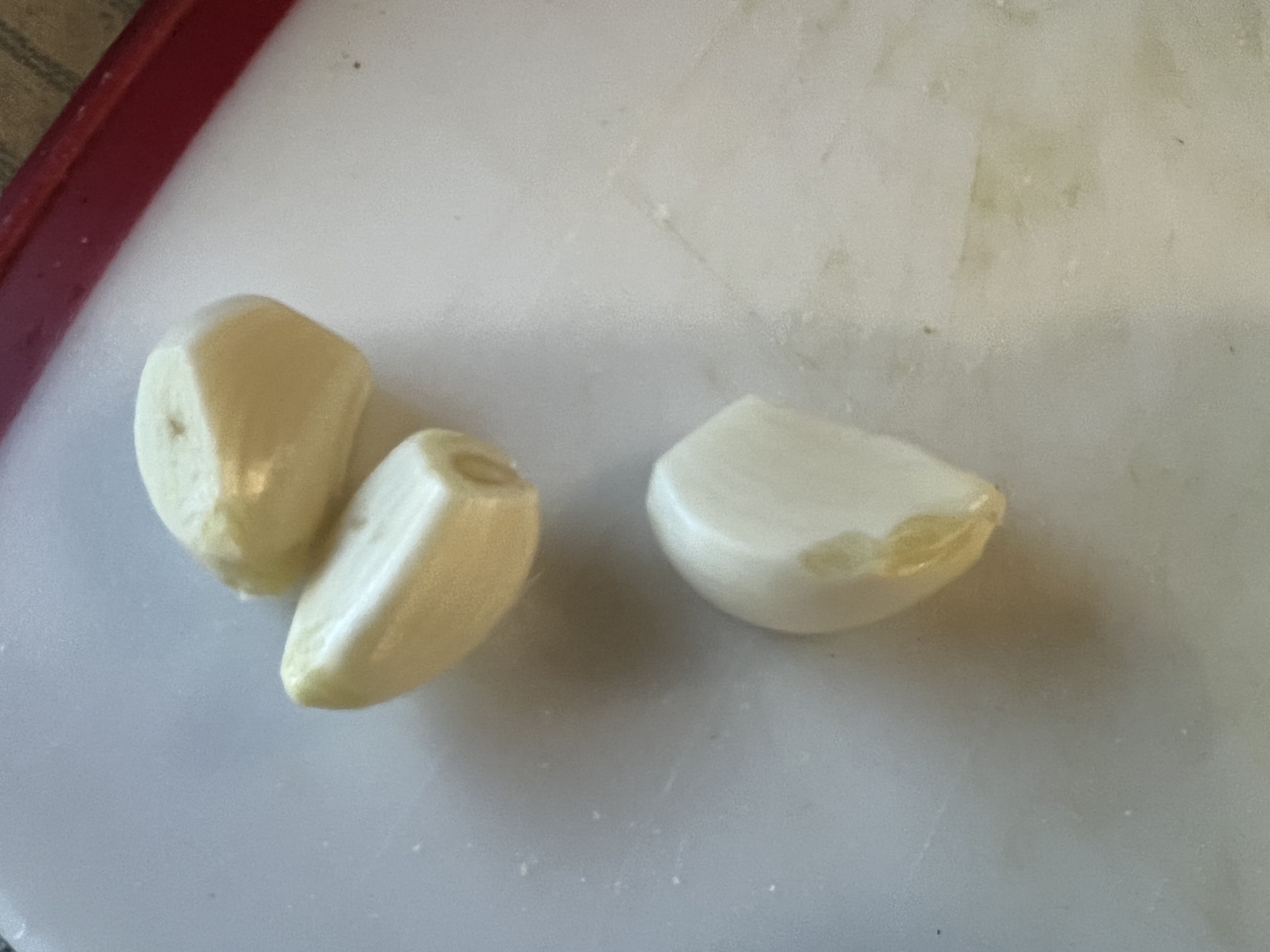 Garlic