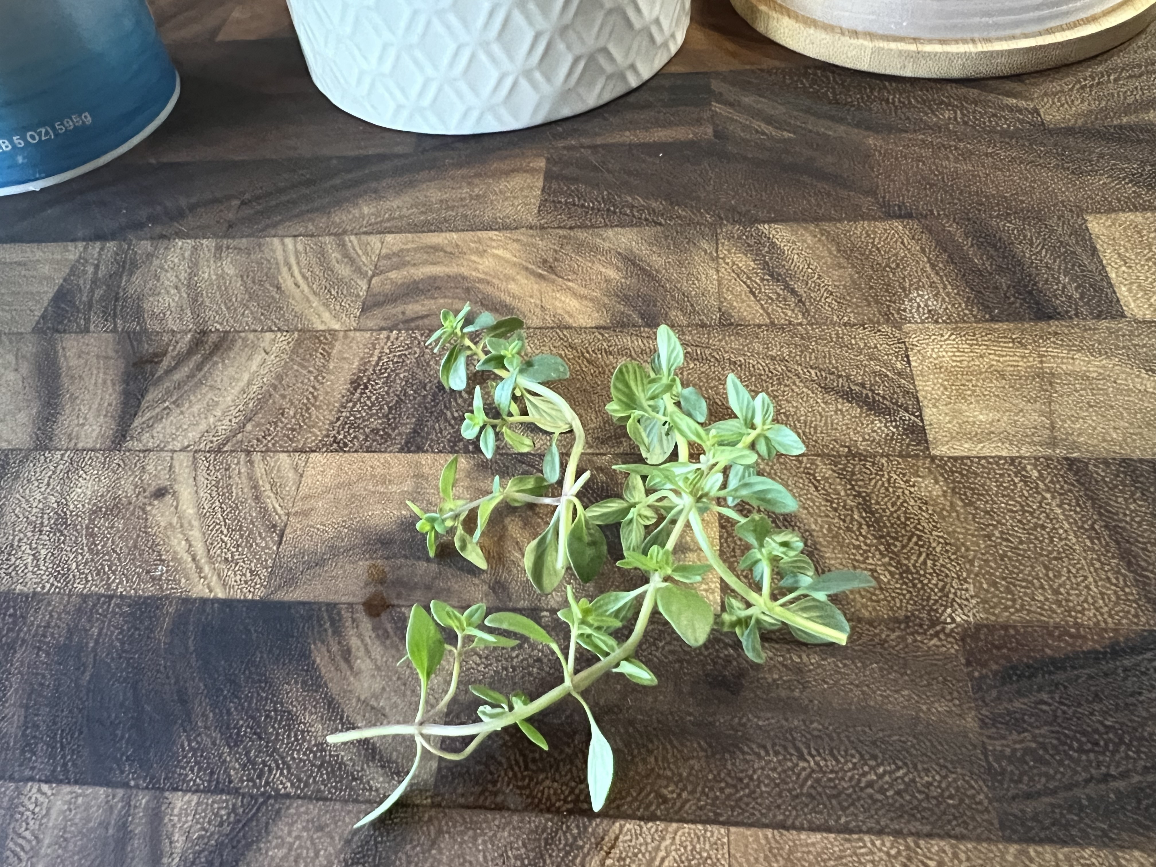 Thyme