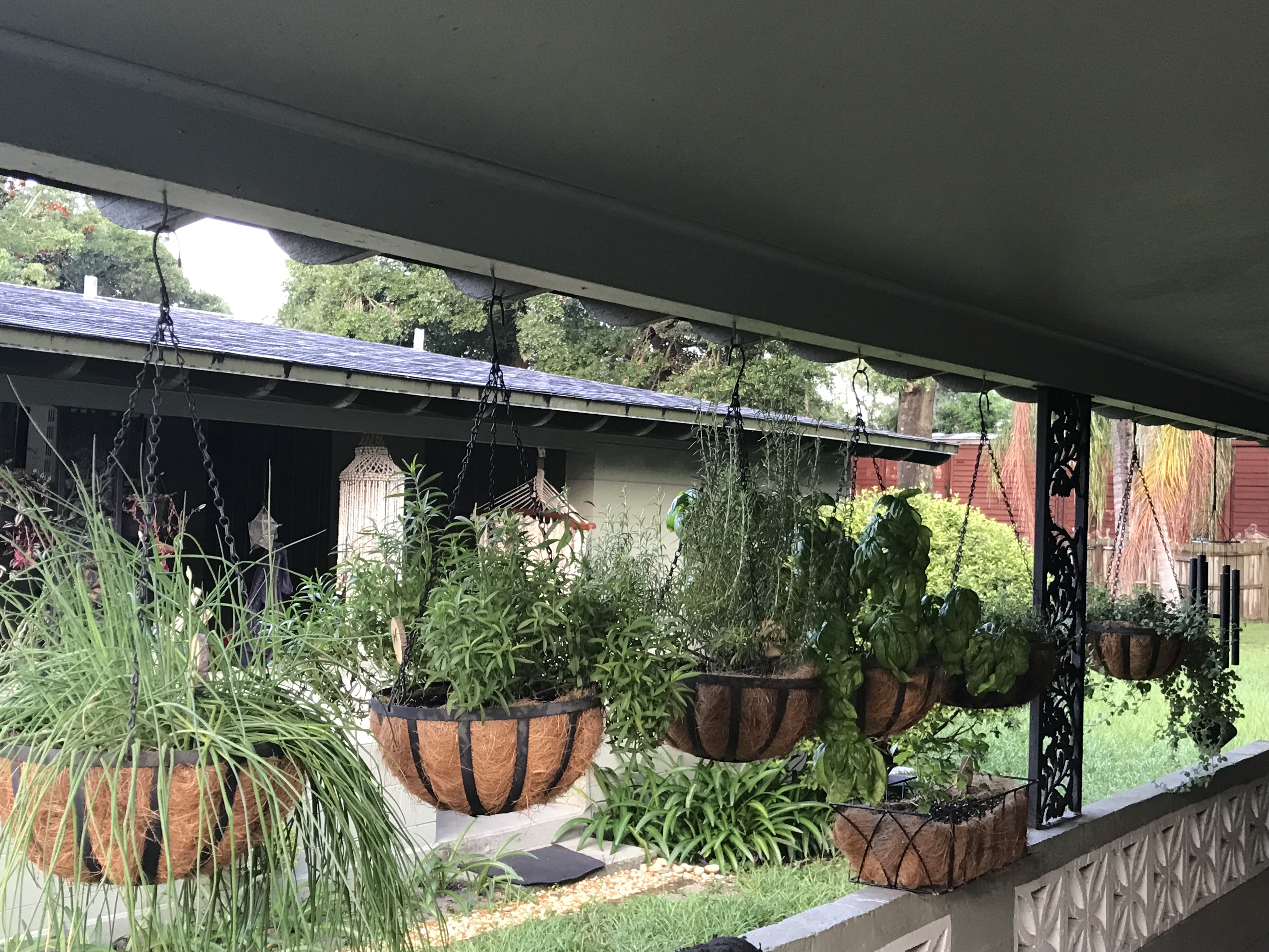 My Organic Hanging Herb Garden