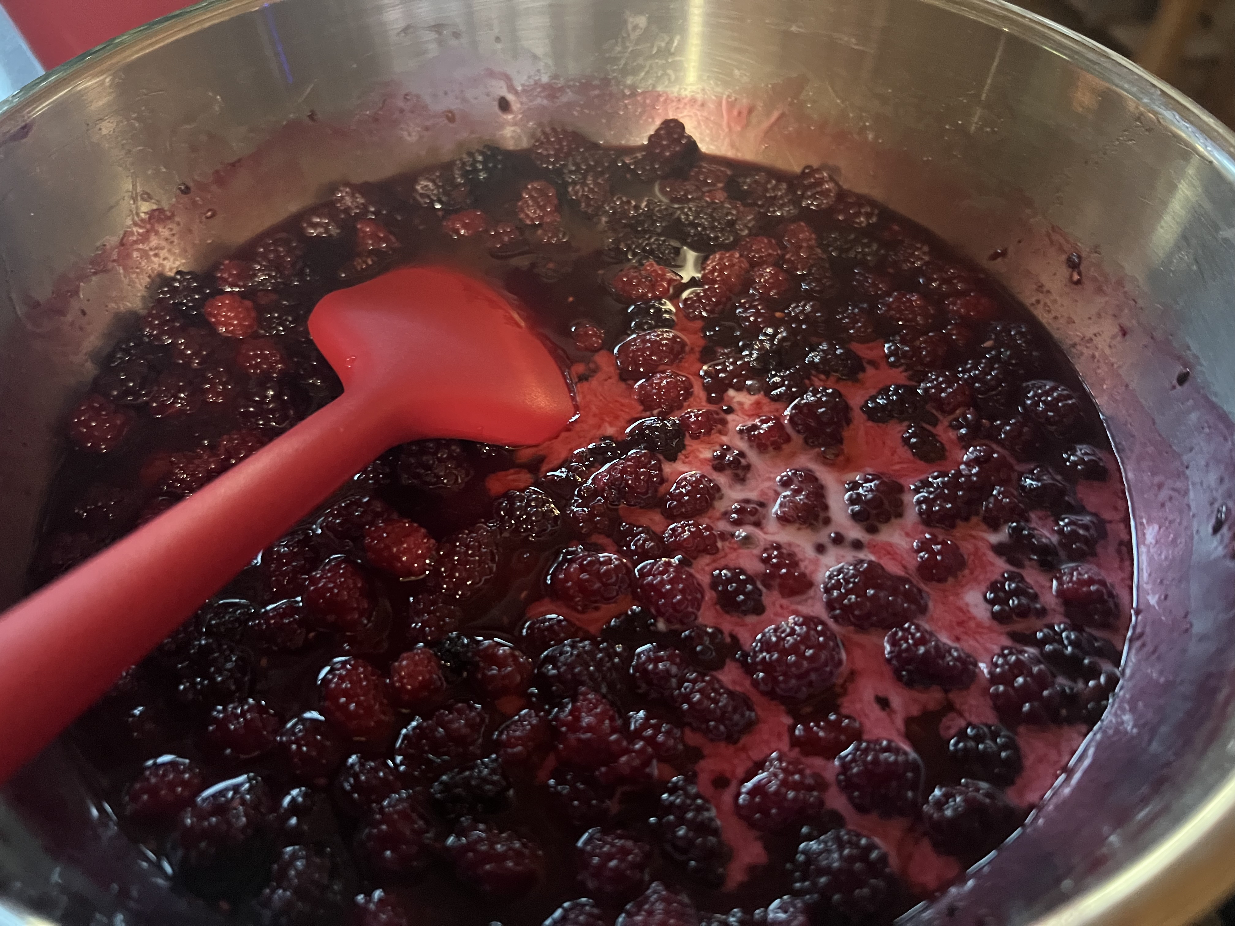 Wild Blackberry Galette