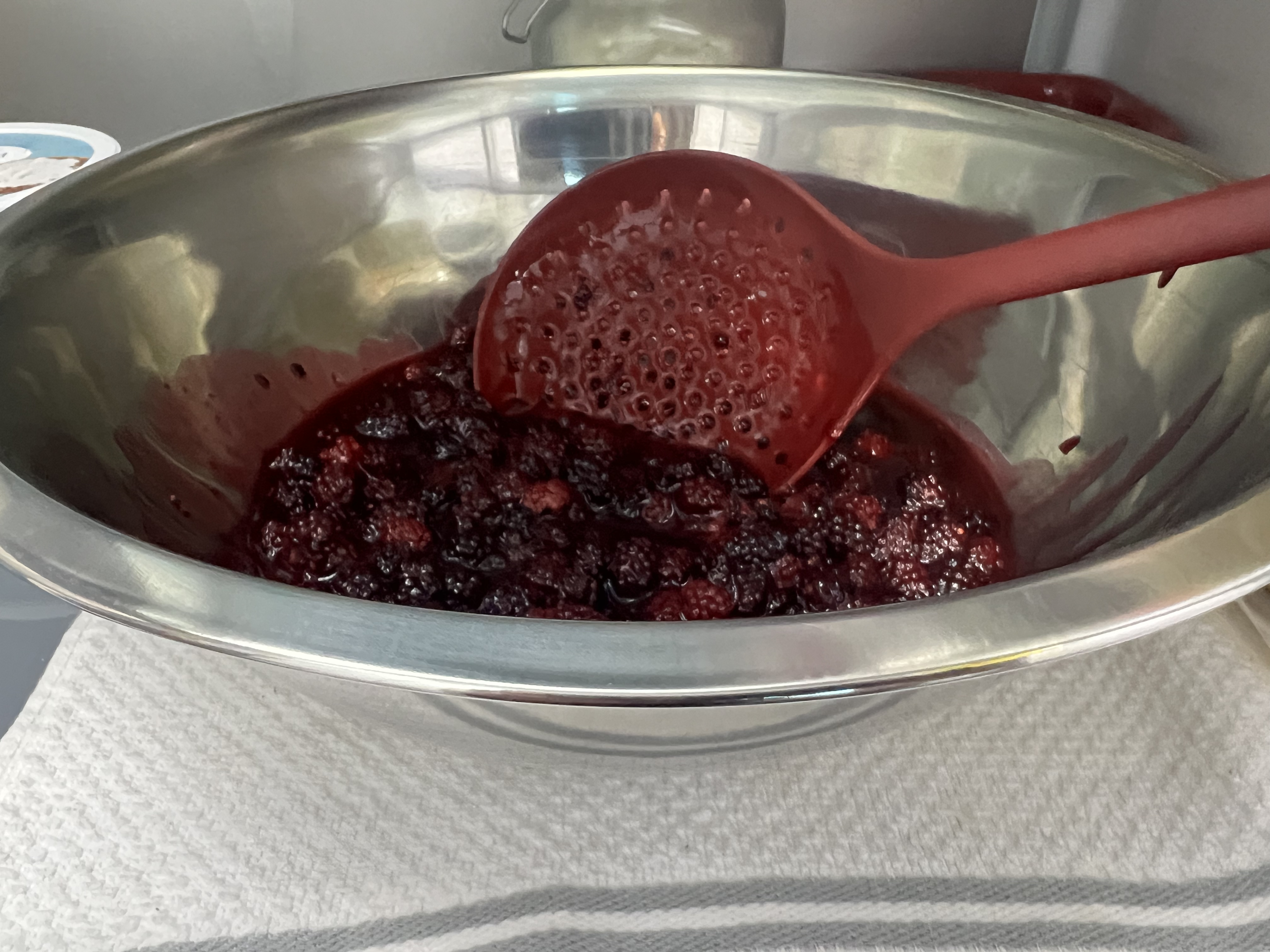 Wild Blackberry Galette