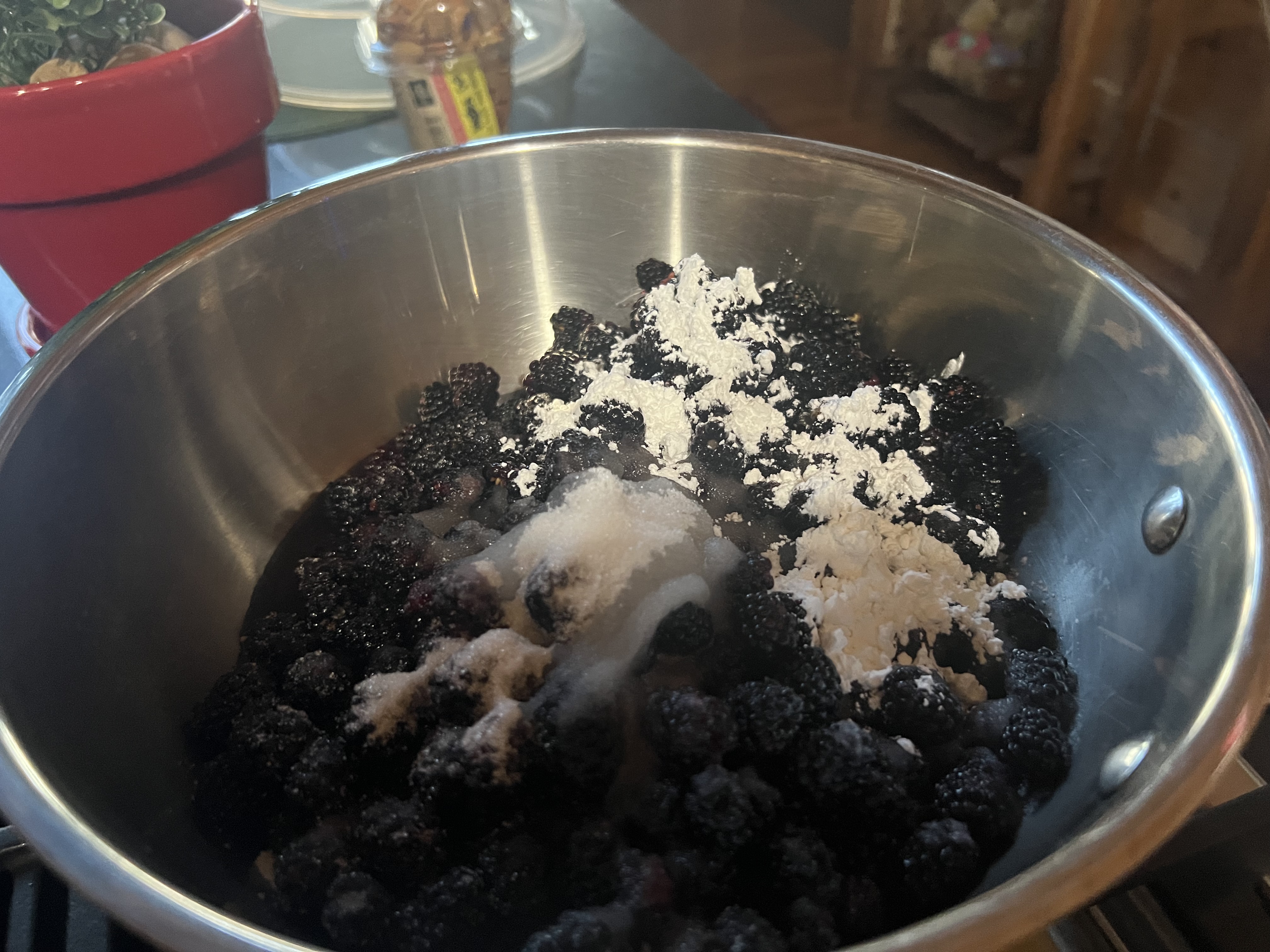 Wild Blackberry Galette