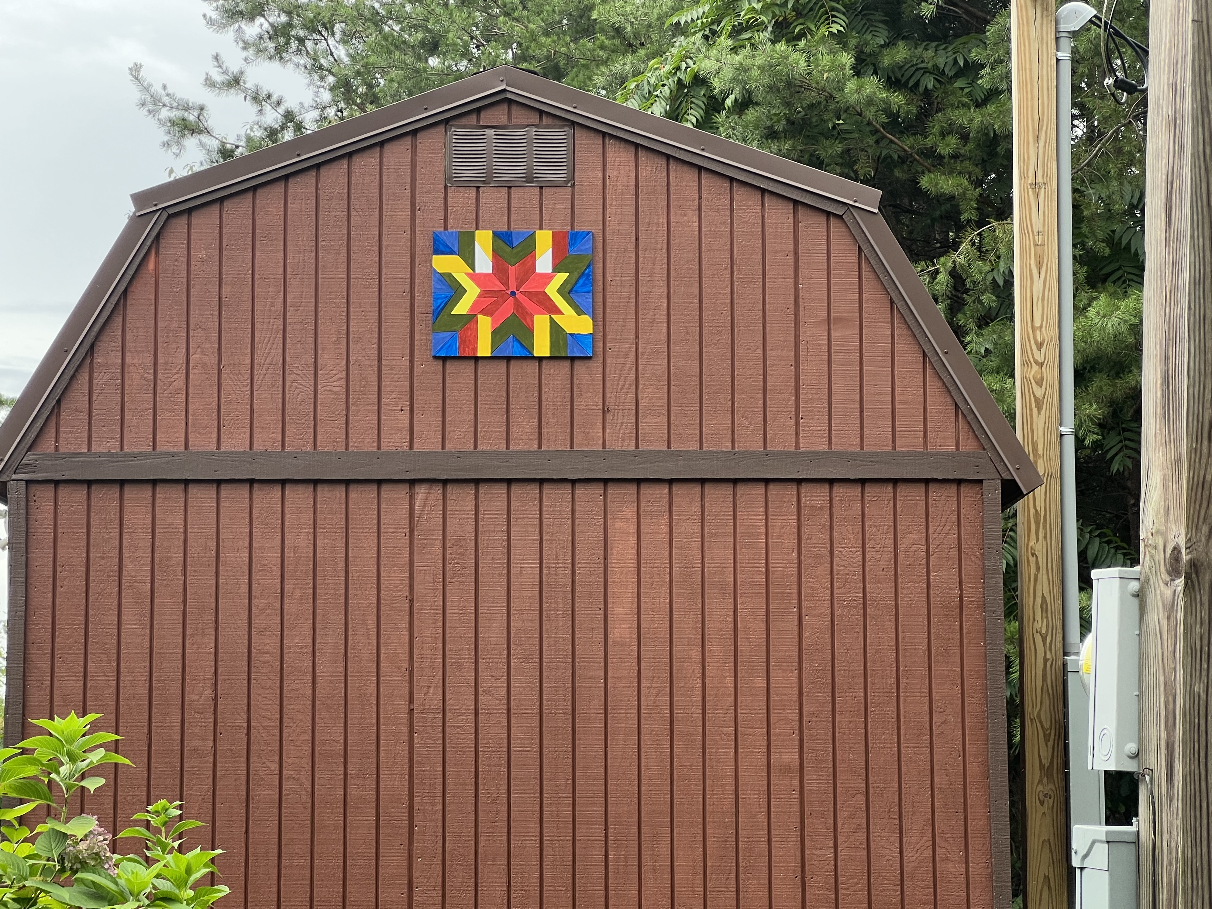 Barn-style Shed