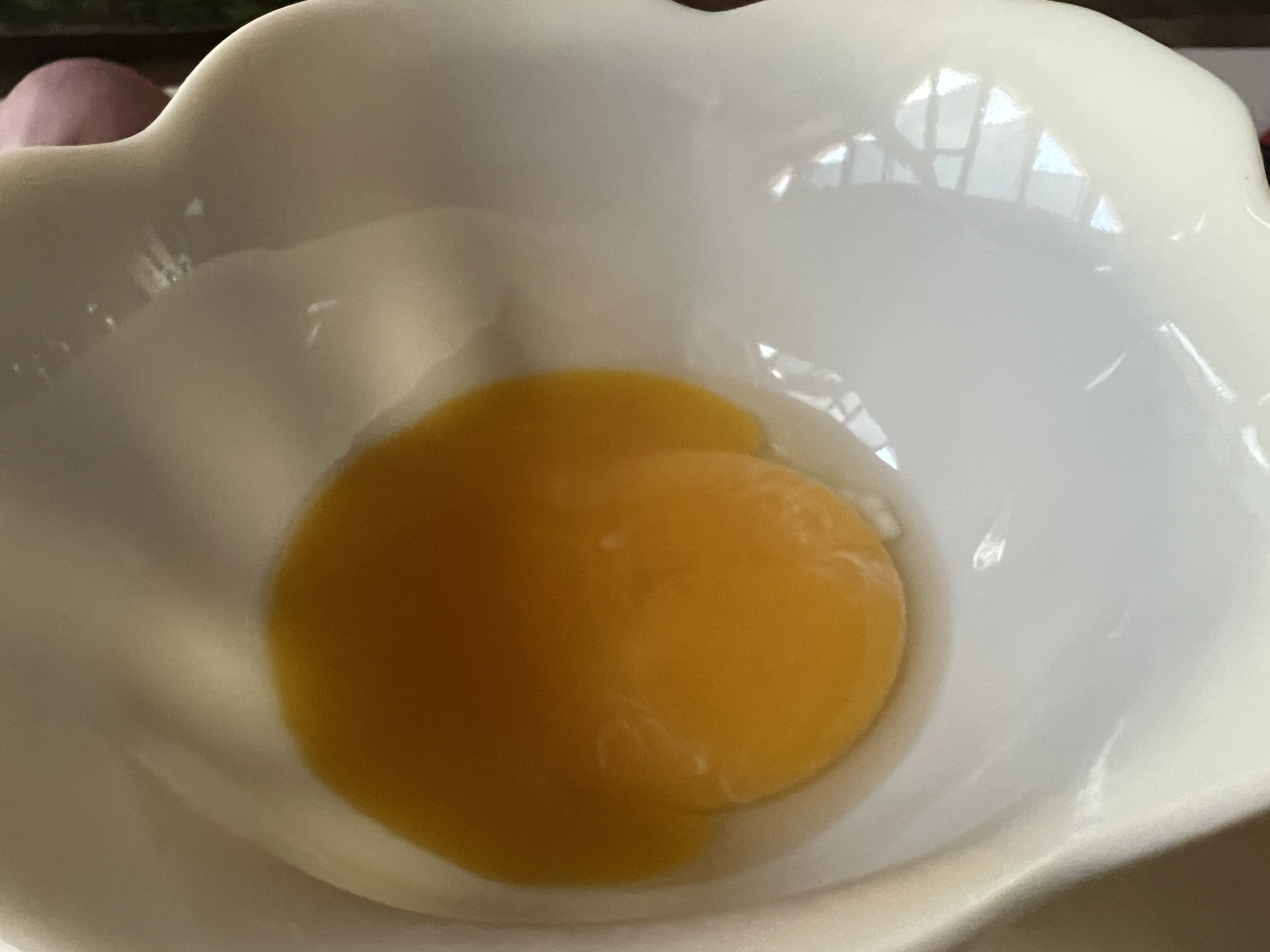 Egg Yolk