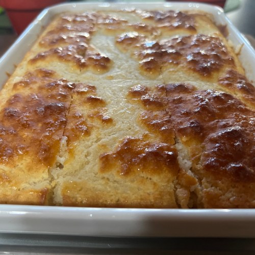 Swim Biscuits