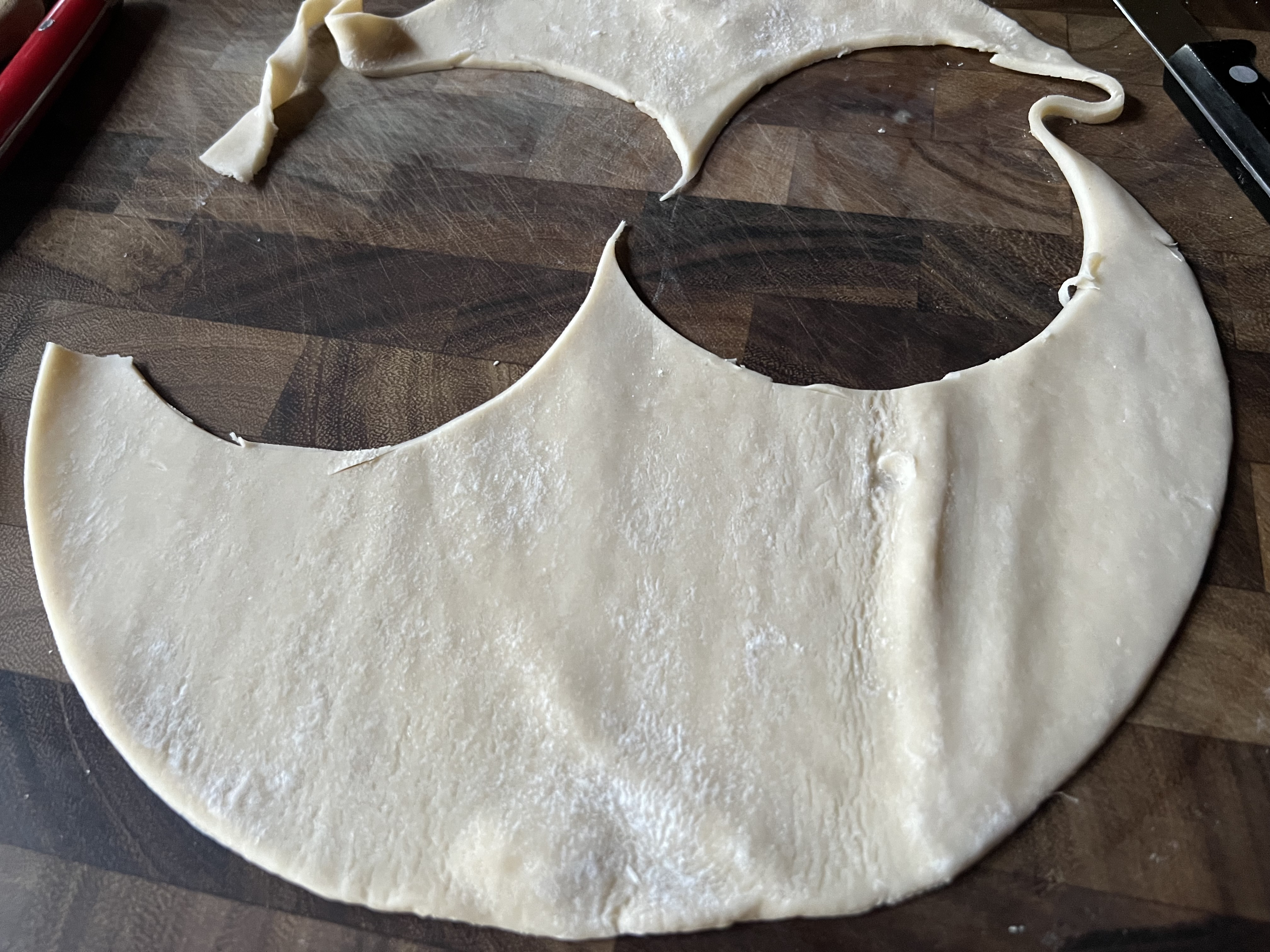 Chicken Empanadas