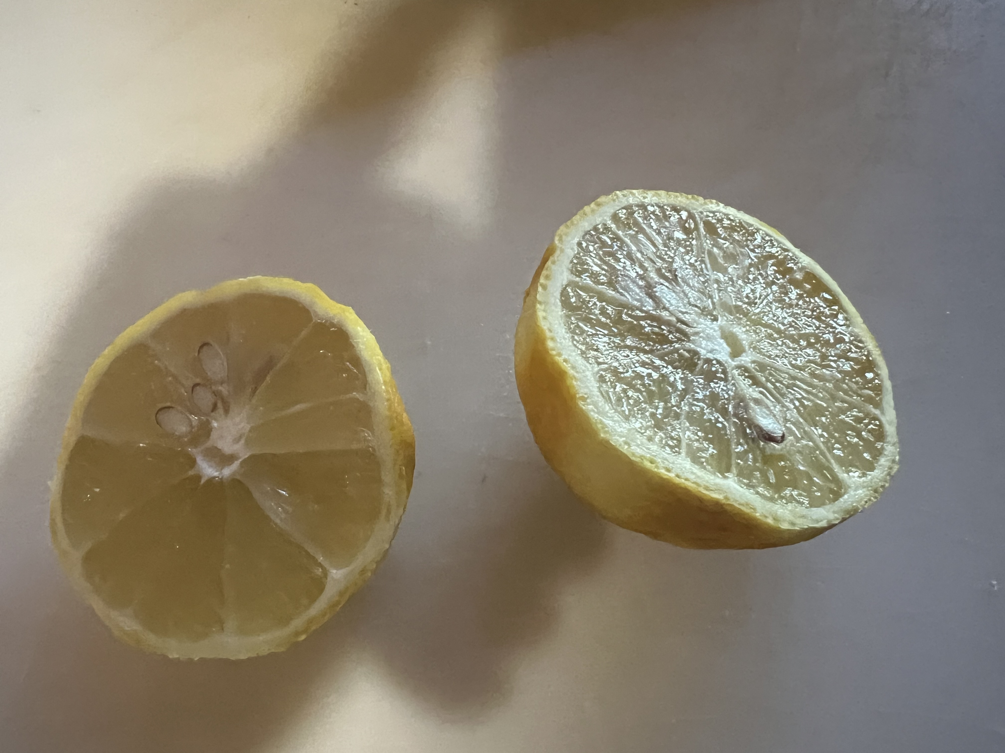 Sweet Itallian Easter Pie