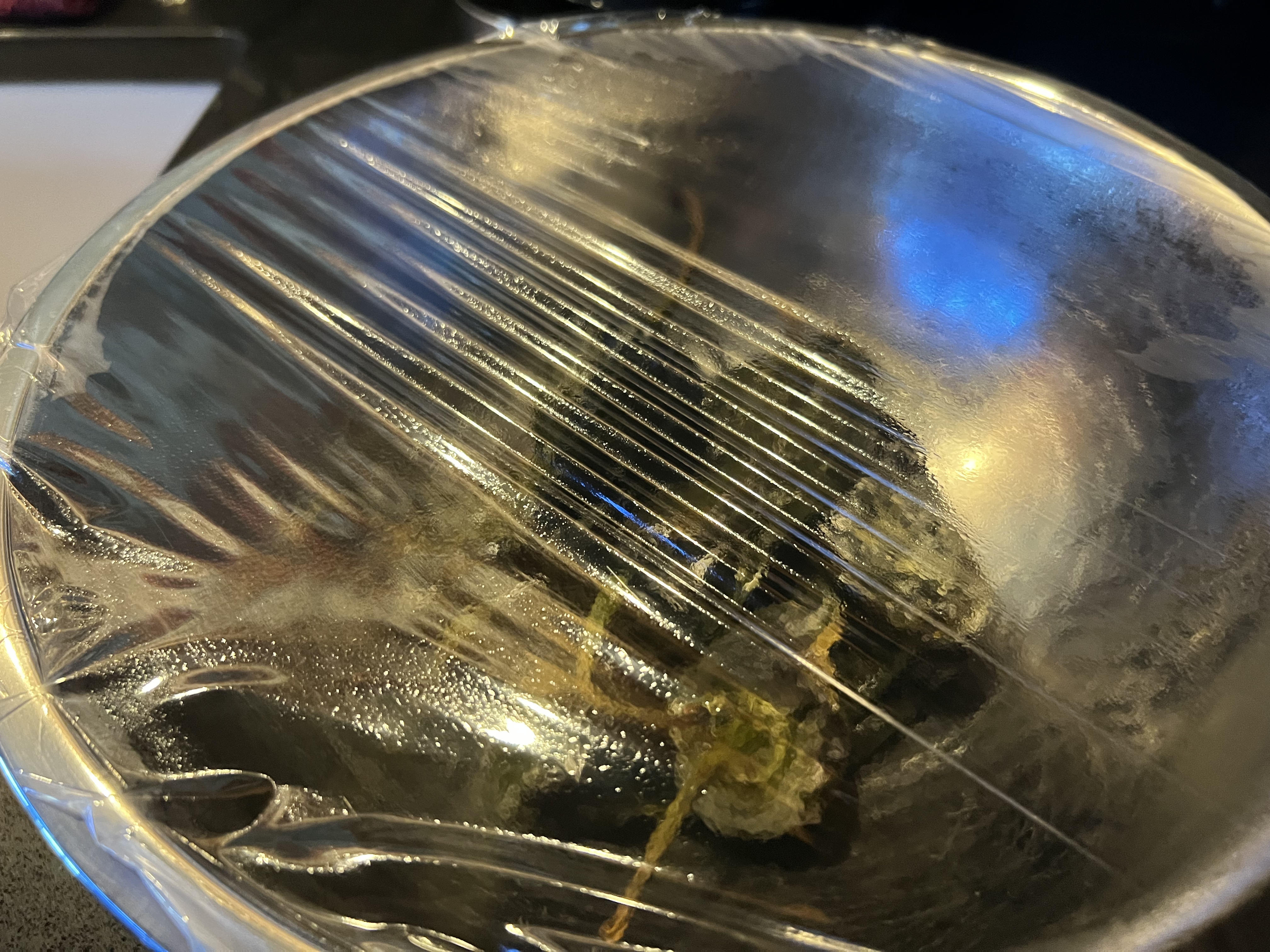 Mexican Chili Verde