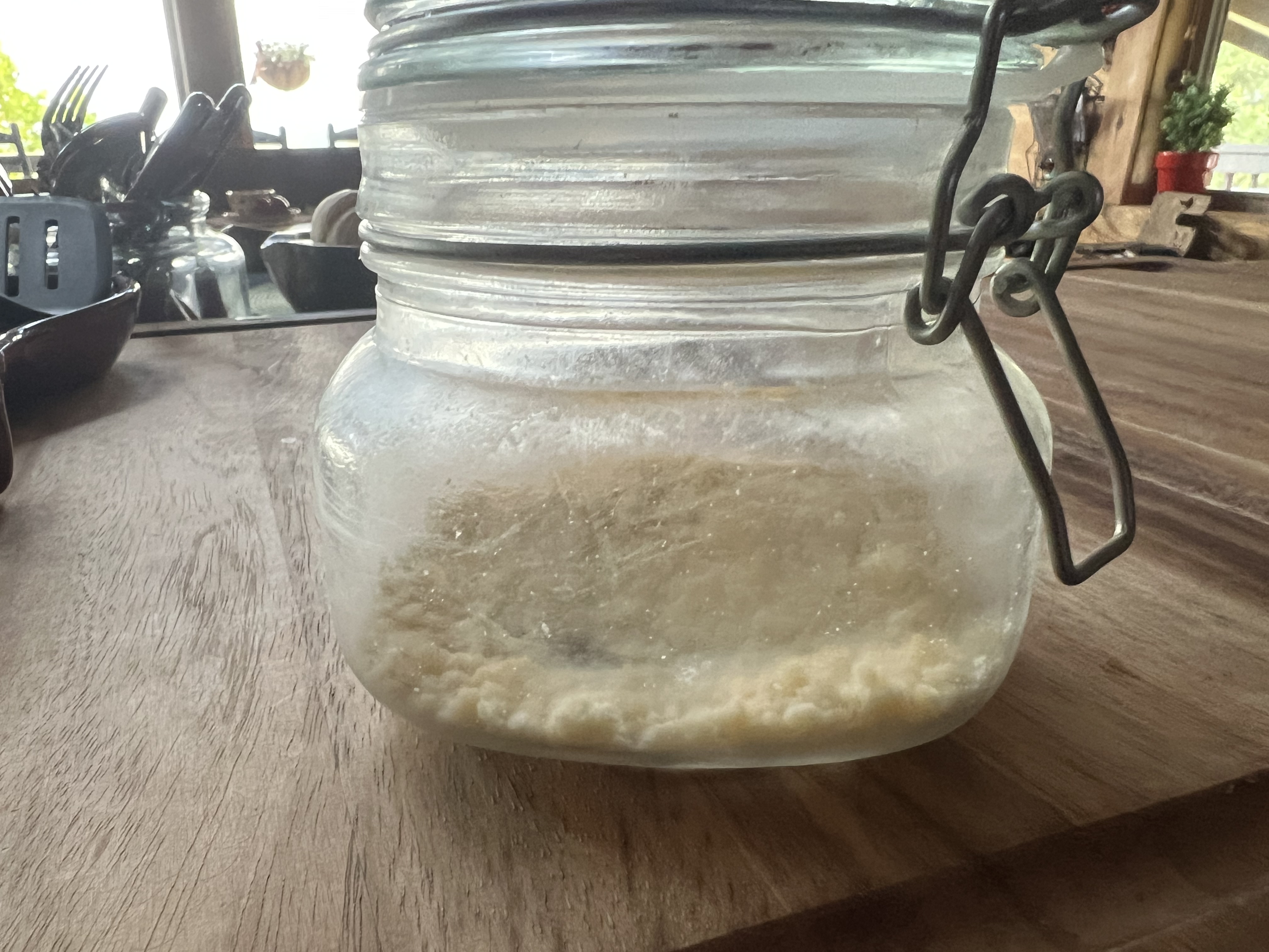 Parmigiano-Reggiano Cheese