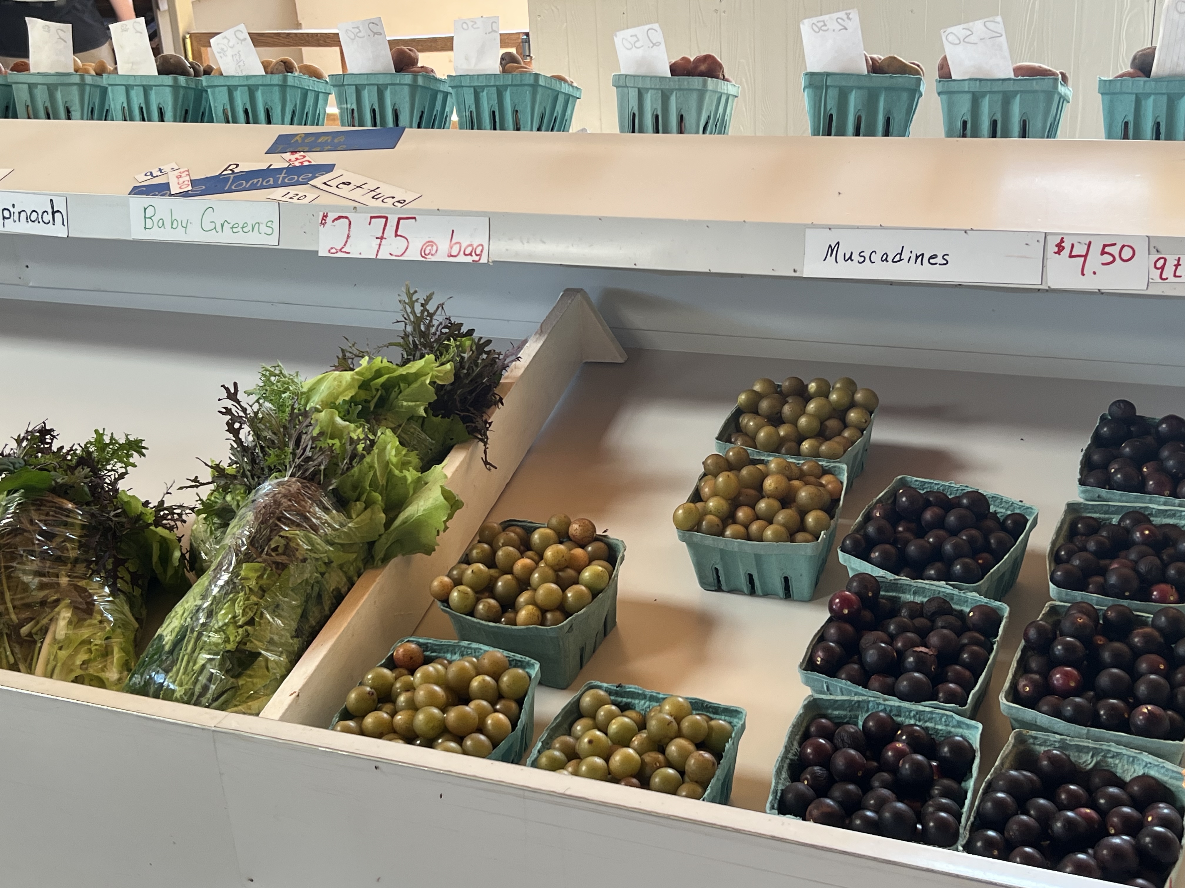 Tellico Plains Amish Farmers Market 