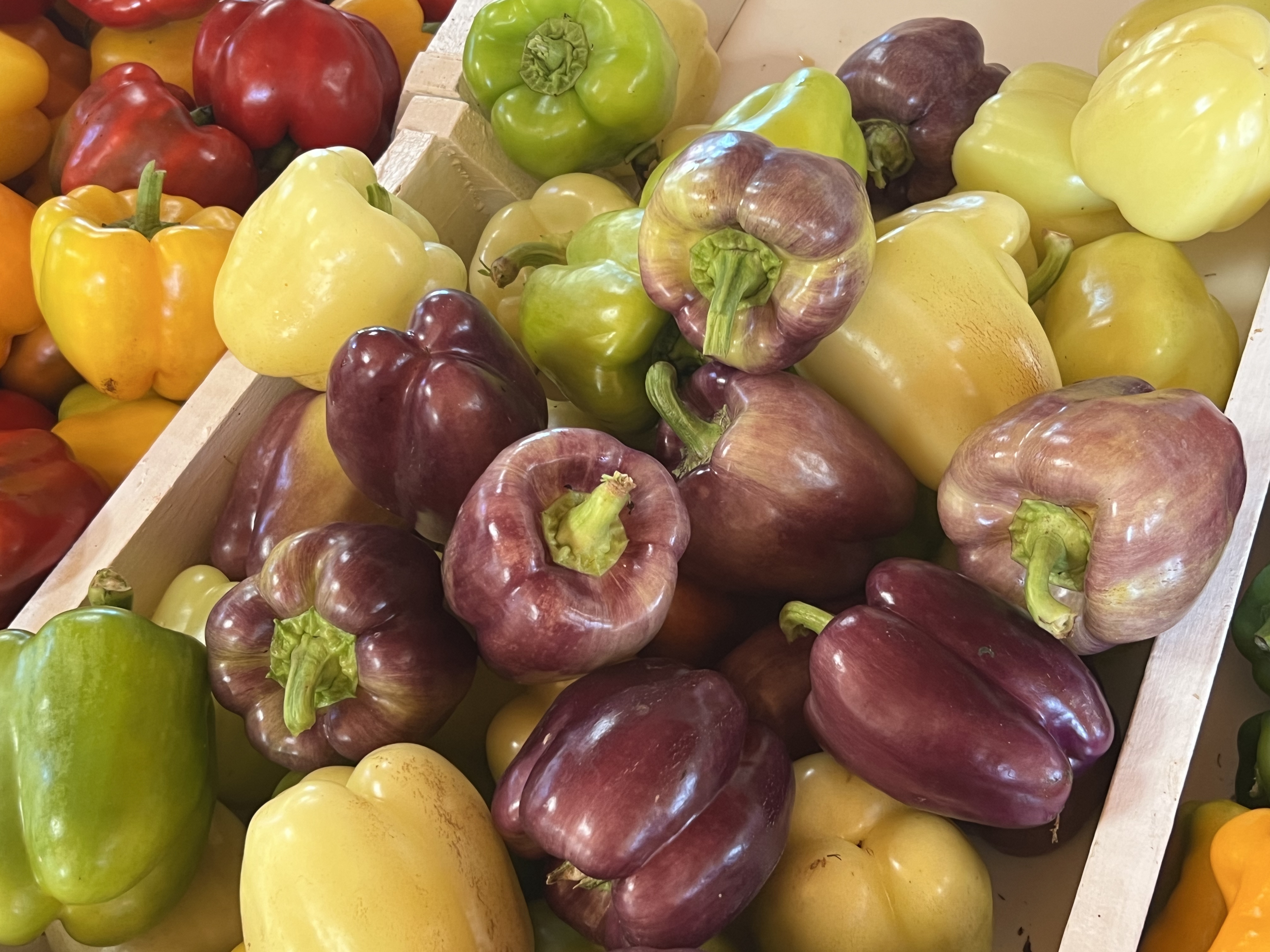 Tellico Plains Amish Farmers Market 