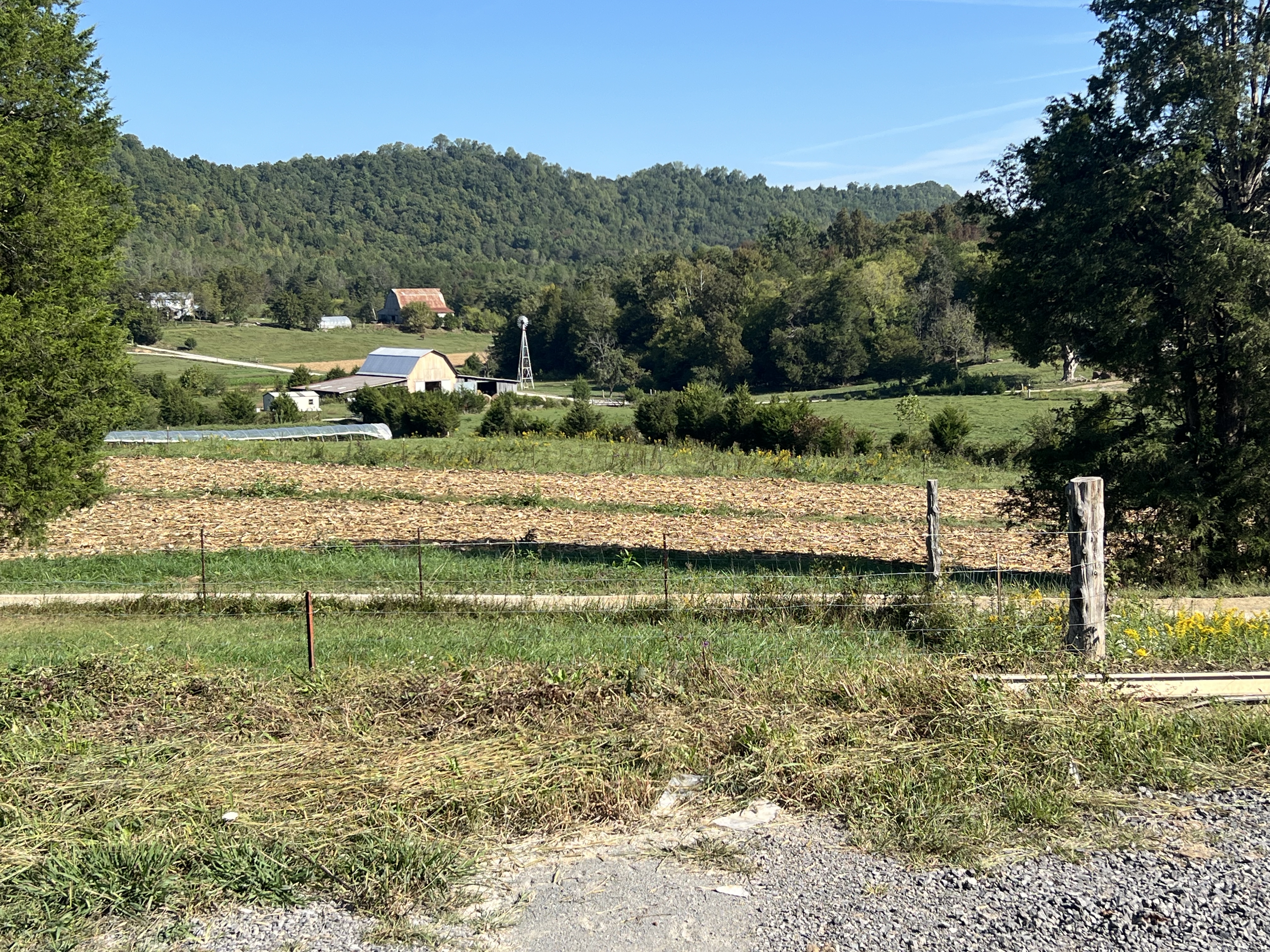 Tellico Plains Amish Farmers Market 