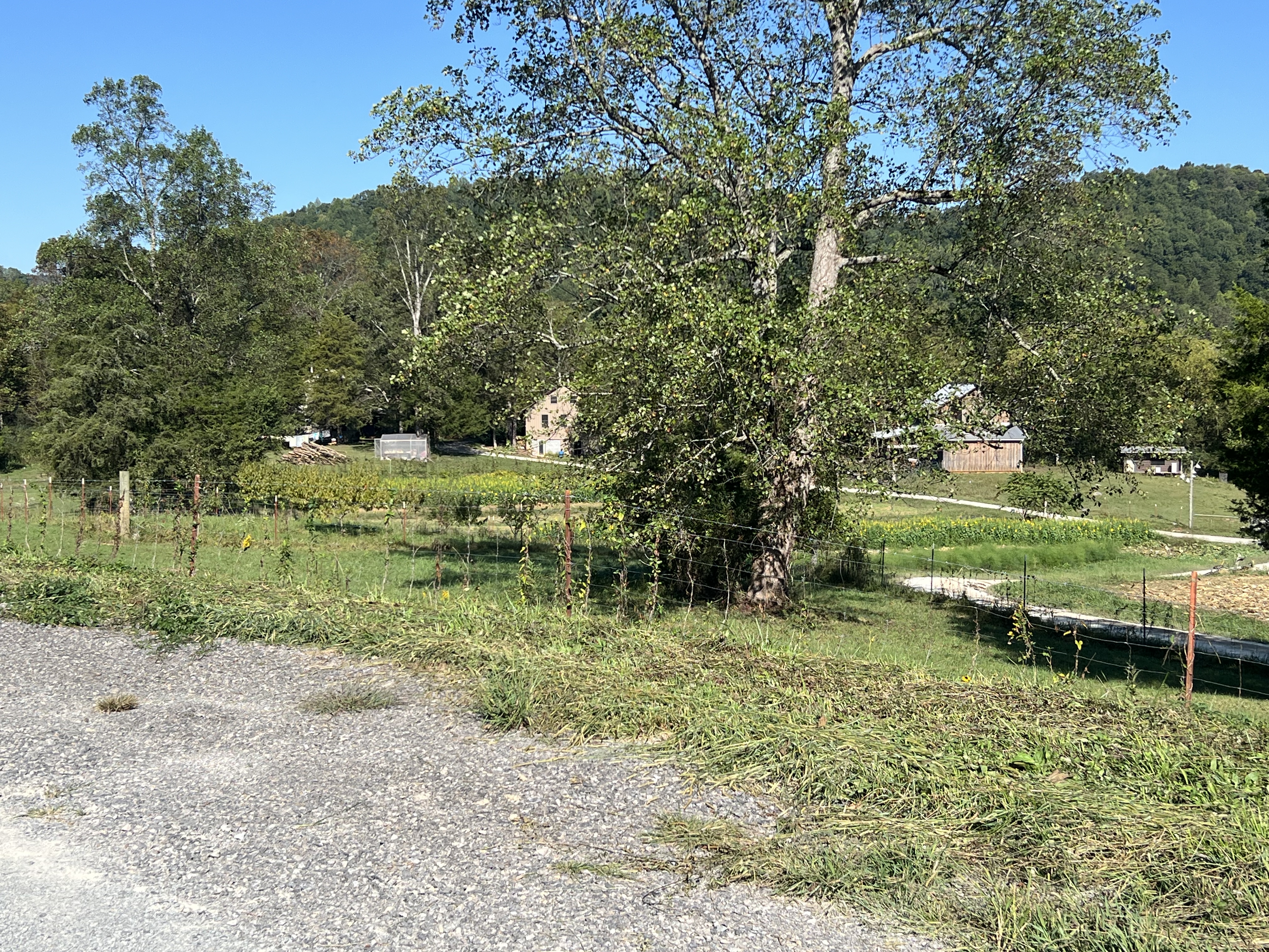 Tellico Plains Amish Farmers Market 