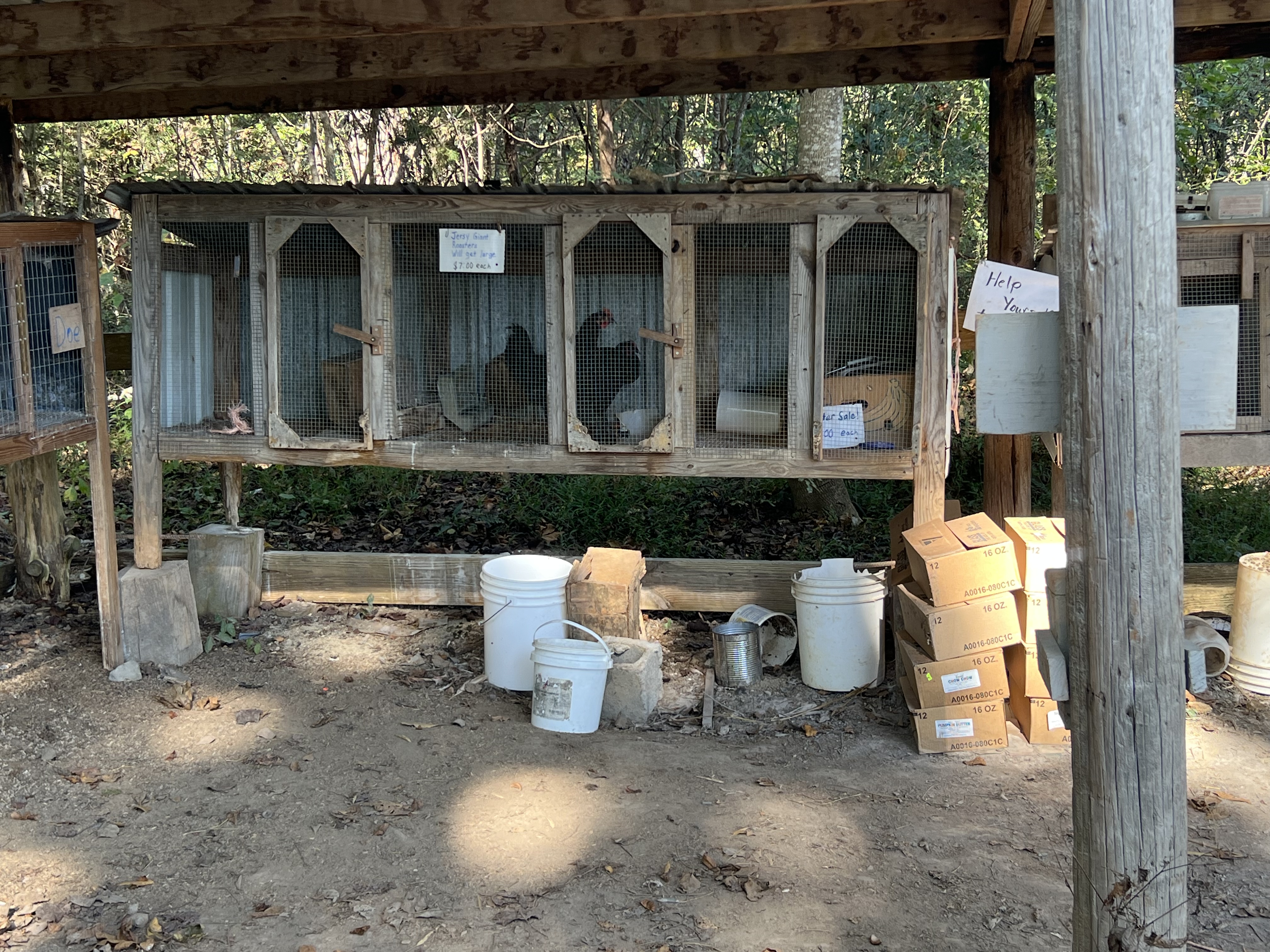Tellico Plains Amish Farmers Market 